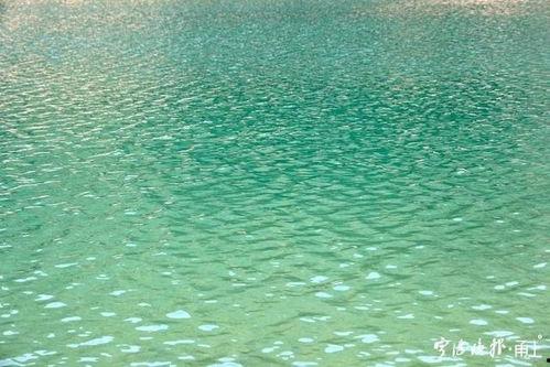 网红小绿水,绿色生活倡导者的魅力之旅