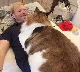 大猫狗带你吃瓜,尽享味蕾盛宴