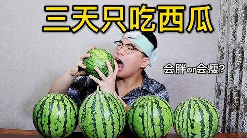 吃瓜是不是能减肥,揭秘瓜果中的瘦身秘密