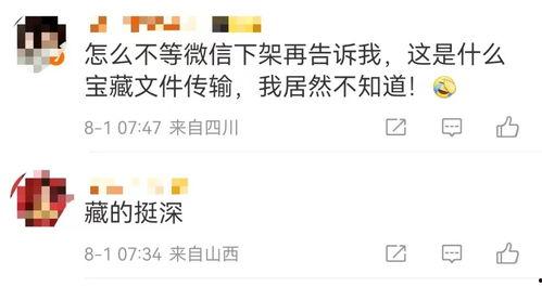 如何找到头条网友聊天,如何轻松找到头条网友畅聊互动